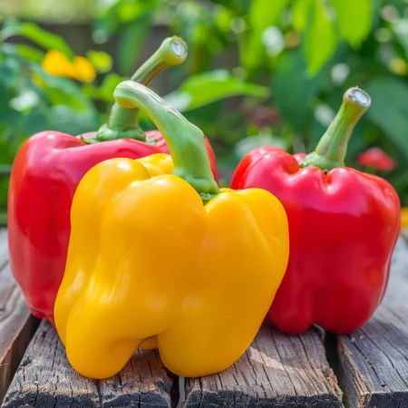 Ardei gras – mix colorat (roșu, galben, violet, portocaliu)